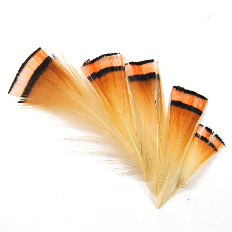 50PCS Natural Color Golden Phe - огляд і ціна Fishing Equipment Brands